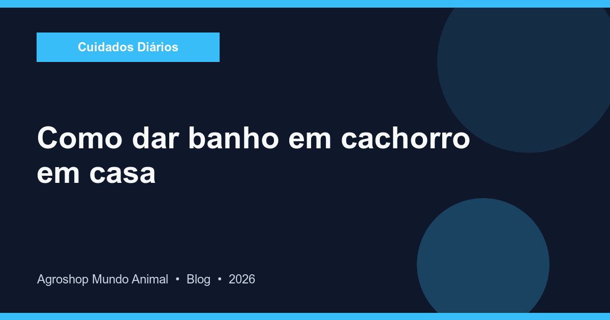 Cachorro tomando banho