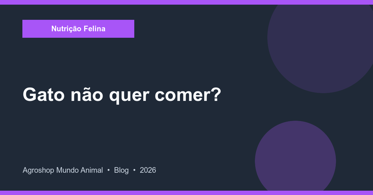 Gato sem apetite olhando para o prato de comida