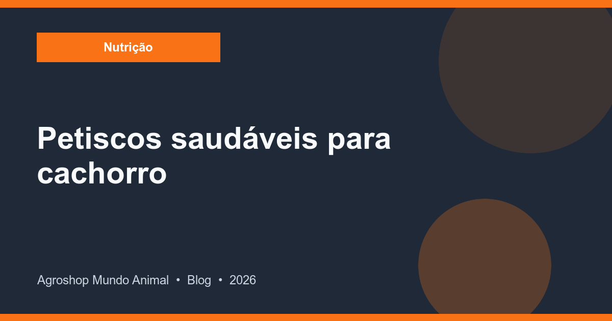 Cachorro recebendo petisco
