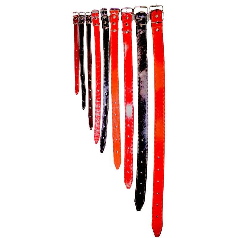 COLEIRA DE COURO Nº5 - Imagem 2