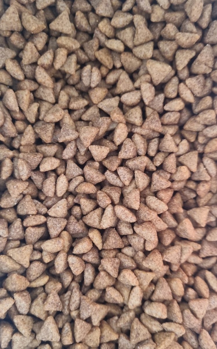 MAGNUS TD RACAS PEQUENAS 10KG - Imagem 5