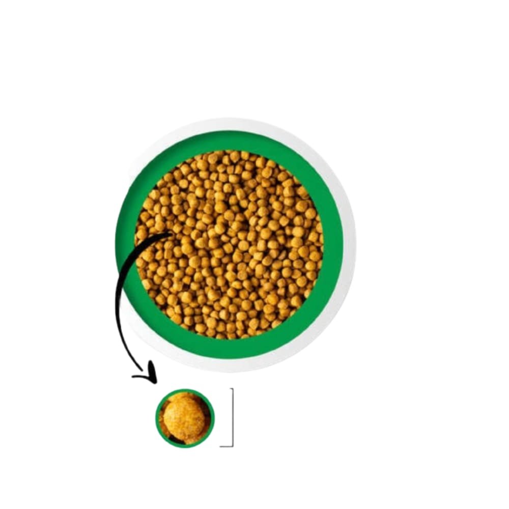 BESSER NATURAL ADULTOS RPM 20KG - Imagem 3