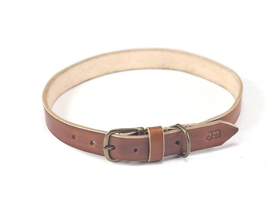 COLEIRA DE COURO Nº5 - Imagem 4