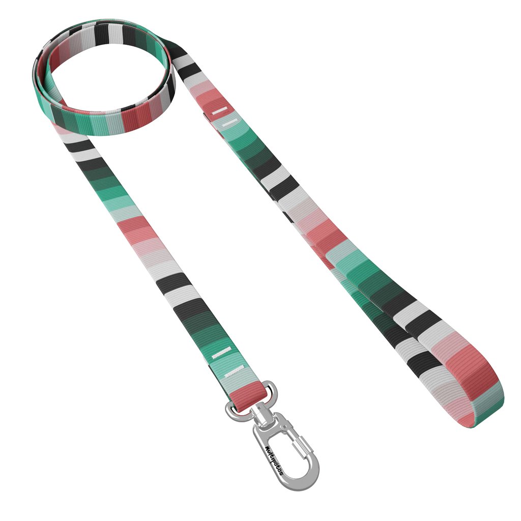 GUIA CORDA 110CM - Imagem 4