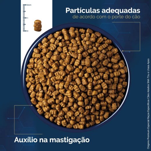 ORIGENS SHIHTZU/LHASA - Imagem 2