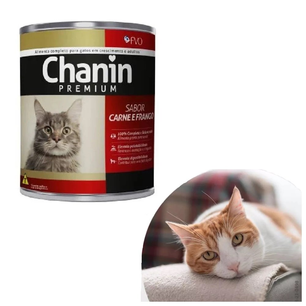 PATE CHANIN CARNE FRANGO 