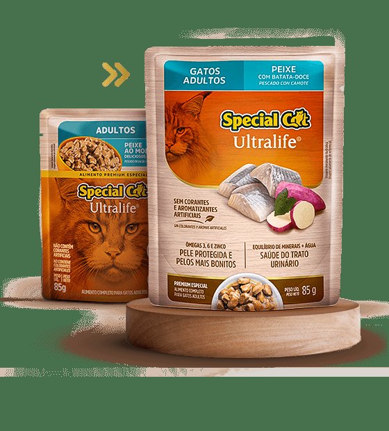 SACHE ORIGENS/ SPECIAL CAT - Imagem 2