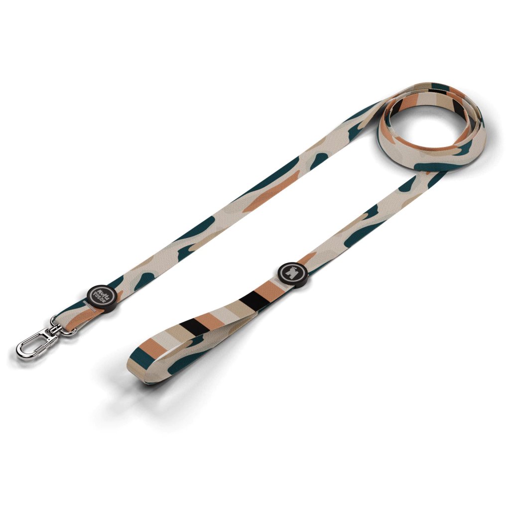 GUIA CAO SIMPLES - Imagem 4